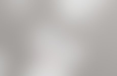 Quick Tip: How to Tell if an Old Paint Finish is Oil or Latex Paint