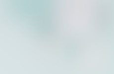 Painting Knotty Pine Walls Before and After – by Nova Scotia’s 4Winds Studio Painting