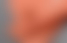 Eggshell or Flat Wall Finish – Our Thoughts and Advice